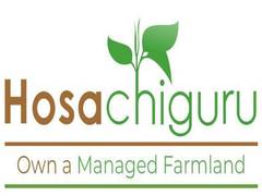 
      
      Hosachiguru, pioneers of managed farmlands in India, launches...
      
      