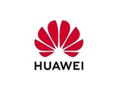 
      
      Huawei's global smartwatch shipment rises to second place in...
      
      