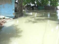 
      
      Bihar: Floods wreak havoc in Darbhanga; villagers complain...
      
      