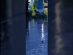 
      
      Man washed away to Saroornagar tank due to heavy rains in...
      
      