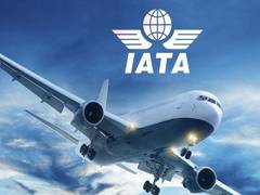 
      
      Global air freight demand slips down 1.1 pc in November: IATA
      
      