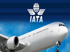 
      
      Passenger demand continues on moderate upward path: IATA
      
      