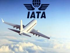
      
      Air travel sees domestic recovery but international...
      
      