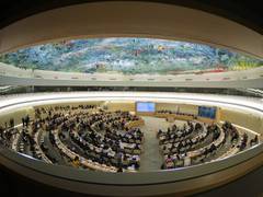 
      
      International Council of Jurists seeks 'White Paper' from WHO...
      
      