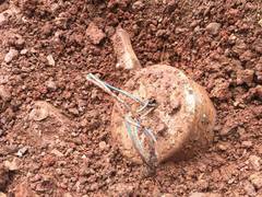 
      
      ITBP recovers 5 kg IED near Korba jungle in Chhattisgarh
      
      