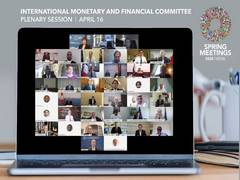 
      
      IMFC calls on private creditors to join debt standstill amid...
      
      
