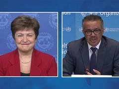 
      
      Saving lives and protecting livelihoods go hand in hand: IMF
      
      