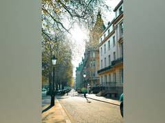 
      
      Study finds urban planners seeking return to 'old normal' in...
      
      