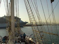 
      
      INS Sudarshini deployed to Gulf countries
      
      