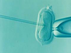 
      
      IVF success rates higher at clinics providing more...
      
      