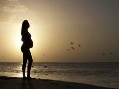 
      
      Assisted reproductive technology associated with fatal heart...
      
      