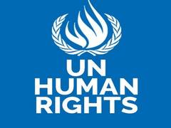 
      
      UN Human Rights Office raises concerns over 'shrinking of...
      
      