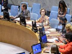
      
      India supports Syrian engagement with OPCW
      
      