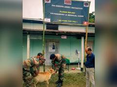 
      
      Assam floods: Indian Army organises medical camp in Helacha...
      
      