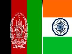 
      
      Indian envoy in Afghanistan meets Acting Minister of Foreign...
      
      