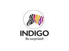 
      
      Indigo Paints IPO to open on Jan 20 with price band of Rs...
      
      