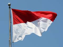 
      
      Indonesia to ratify RCEP after seeking parliamentary approval
      
      
