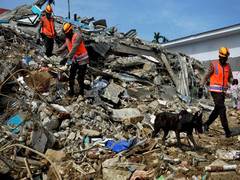 
      
      Death toll in Indonesia's West Sulawesi quake rises to 91
      
      