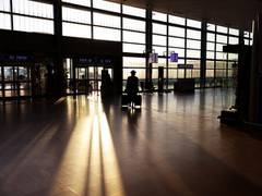 
      
      Israel to lift travel ban to 55 countries
      
      