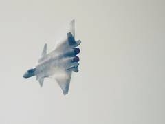 
      
      China's J-20 fighter jet patrols East, South China seas
      
      
