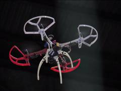 
      
      Drone business takes off in Japan
      
      
