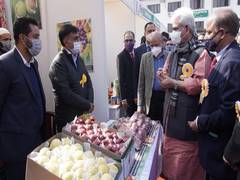 
      
      J-K LG launches Market Intervention Scheme to ensure optimum...
      
      