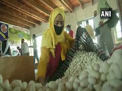 
      
      Govt sets up cocoon auction market in Srinagar 
      
      