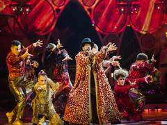 
      
      For a magical evening at Expo 2020 Dubai, witness 'Why? The...
      
      