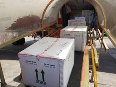 
      
      Jammu Airport handled more than 16 lakh vaccine doses to...
      
      