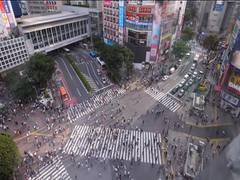 
      
      Shibuya scramble crossing - a popular attraction among...
      
      