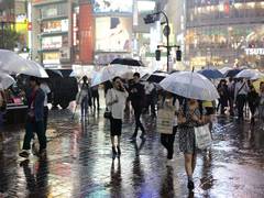 
      
      44 killed due to flash floods southwestern Japan
      
      