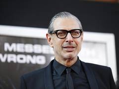 
      
      Is Jeff Goldblum's Ian Malcolm returning to 'Jurassic Park'?
      
      