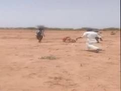 
      
      Jodhpur woman thrashed after cow enters neighbour's field
      
      