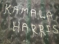 
      
      Kamala Harris native village in Tamil Nadu prepares for...
      
      