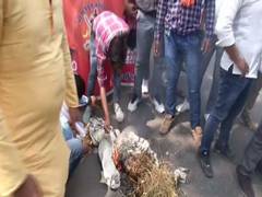 
      
      Karni Sena supports Kangana Ranaut, holds protest against...
      
      