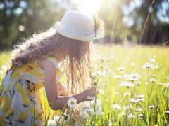 
      
      Sunshine may protect children, young adults from multiple...
      
      