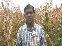 
      
      Man shuns USD 100,000 job in USA to to start farming in India
      
      