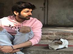 
      
      This is how Kartik Aaryan is 'waiting for vaccine' to combat...
      
      