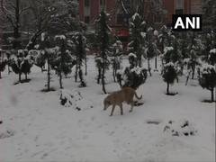 
      
      Residents, tourists rejoice season's 1st snowfall in plains...
      
      