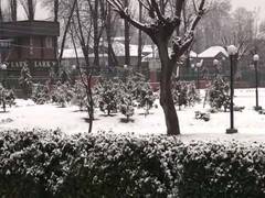 
      
      Frequent closure of Srinagar-Jammu highway causes crunch of...
      
      