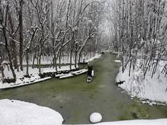 
      
      'HumWapasAayenge': Kashmiri Pandits tweet pledge to return home
      
      