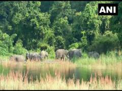 
      
      Restrictions issued ahead of probable floods in Kaziranga
      
      