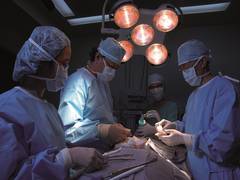 
      
      Structural features of donor's kidney may predict recipient's...
      
      