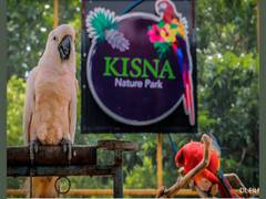 
      
      Surat's Kisna Nature Park contributing to conservation of...
      
      
