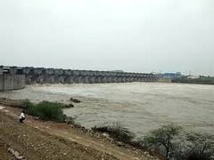 
      
      AP: Swollen Krishna River leaves 4 shepherds, 400 sheep...
      
      