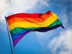 
      
      Brazil criminalises anti-LGBT discrimination
      
      