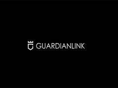 
      
      GuardianLink Launches a Zero Gas Fee Layer 2 
      
      