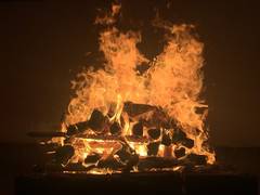 
      
      IB officer Ankit Sharma cremated in Muzaffarnagar
      
      