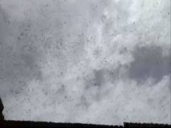 
      
      Locust attack in Barmer district in Rajasthan
      
      