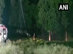
      
      Chemicals sprayed to control locust attack in Varanasi
      
      